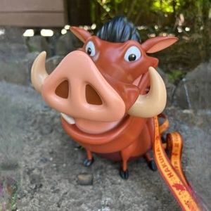 Disney parks Pumba popcorn bucket. 2023 Animal Kingdom‘s anniversary.